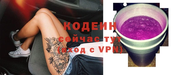ПСИЛОЦИБИНОВЫЕ ГРИБЫ Абаза