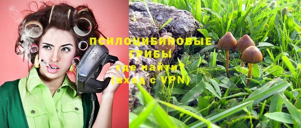 ECSTASY Алексеевка