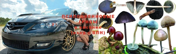 ПСИЛОЦИБИНОВЫЕ ГРИБЫ Абаза