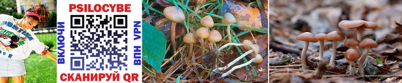 Псилоцибиновые грибы Magic Shrooms  Раменское 