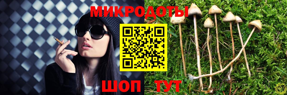Раменское  Галлюциногенные грибы прущие грибы  где купить наркоту  Вход с VPN 
